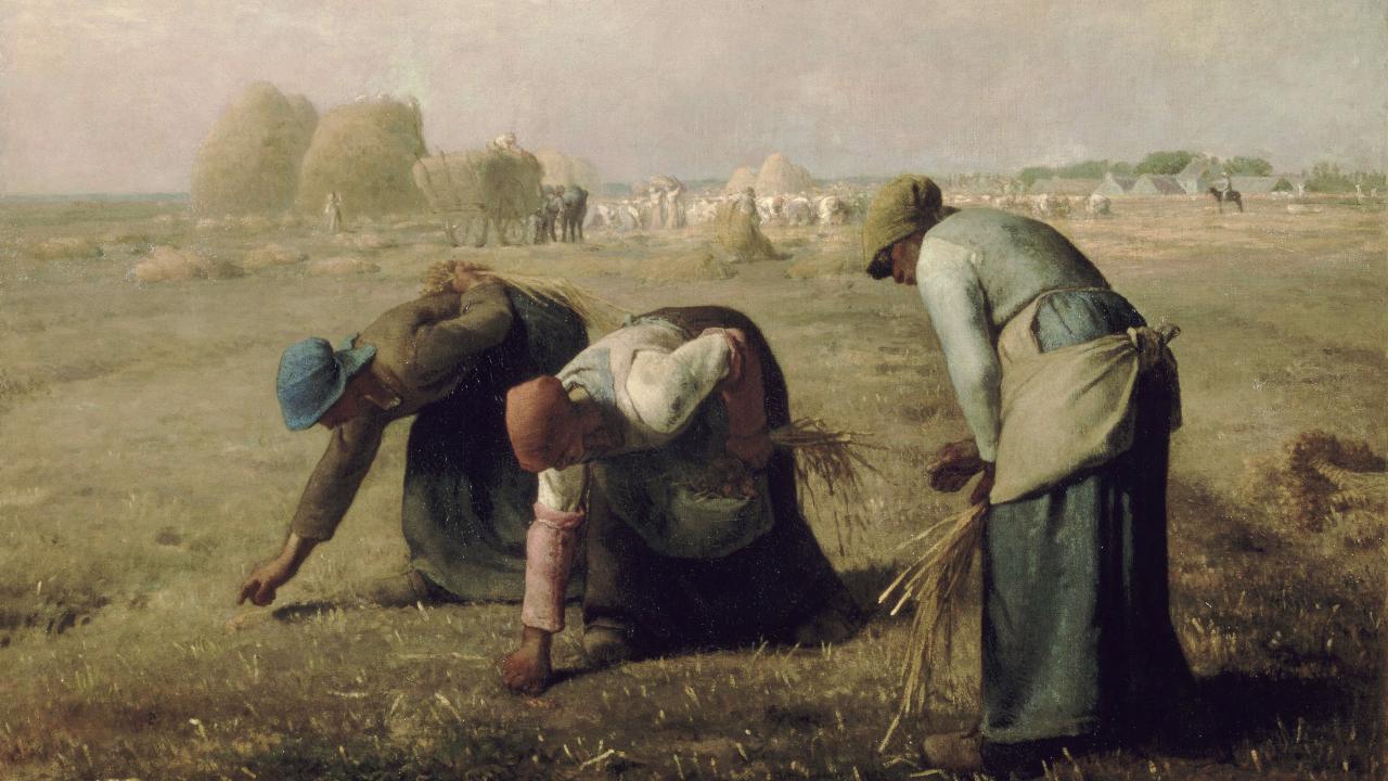 The gleaners